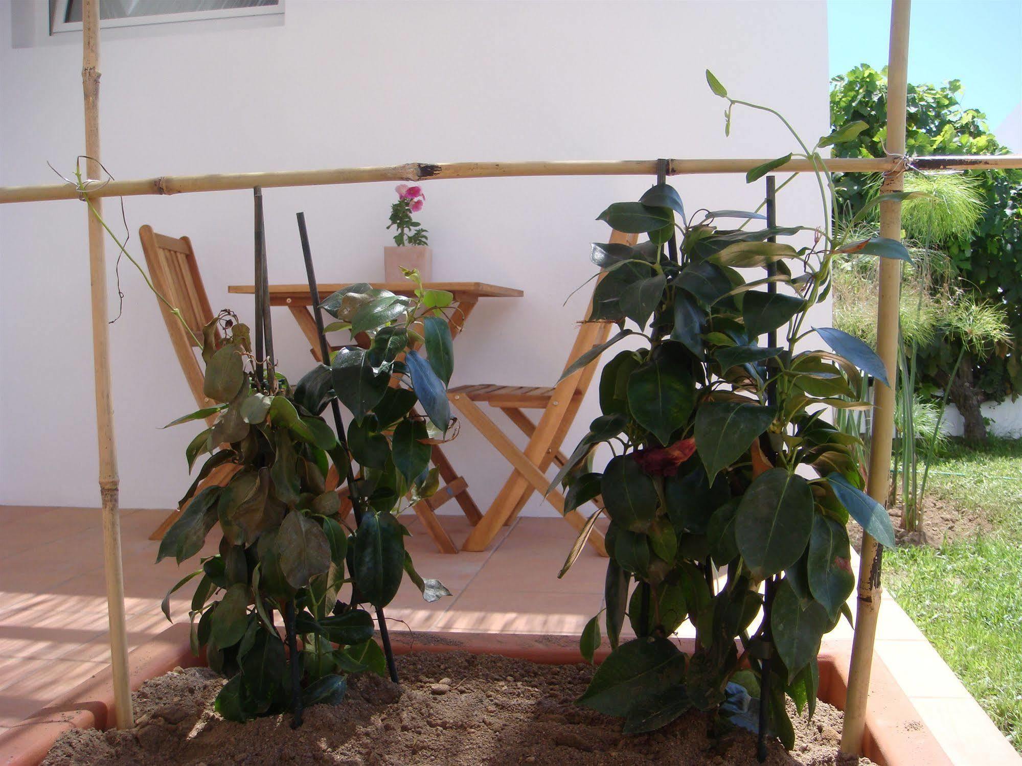 Ponta Delgada Casa Da Ilha - Slow Living Residence & Suites מראה חיצוני תמונה